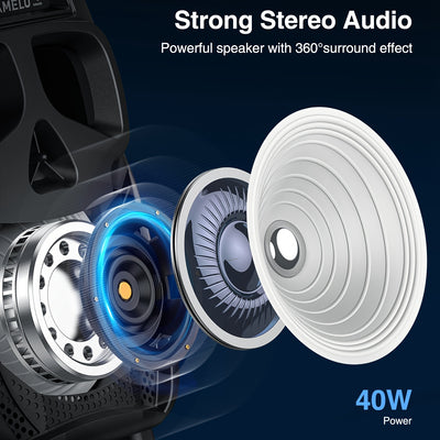Karaoke Machine Speaker with 2 Microphones
